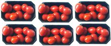 Tomaten-6x9B.jpg